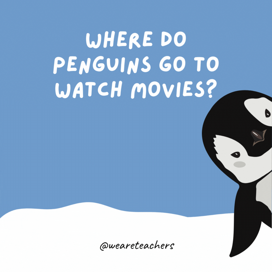 Where do penguins go to watch movies? The dive-in. Where do penguins go to watch movies?
The dive-in.