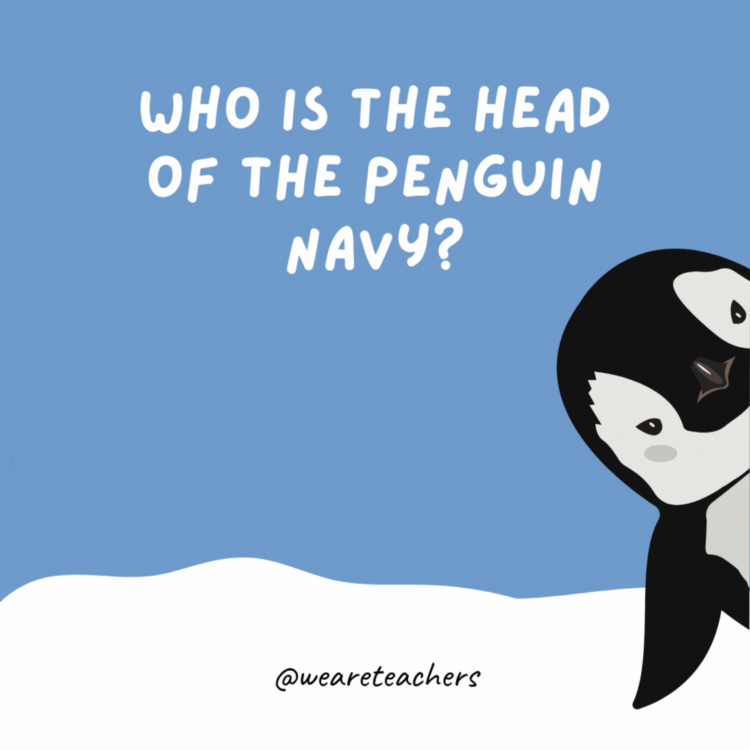 Who is the head of the Penguin Navy? Admiral Byrd. Who is the head of the Penguin Navy? Admiral Byrd.- penguin jokes