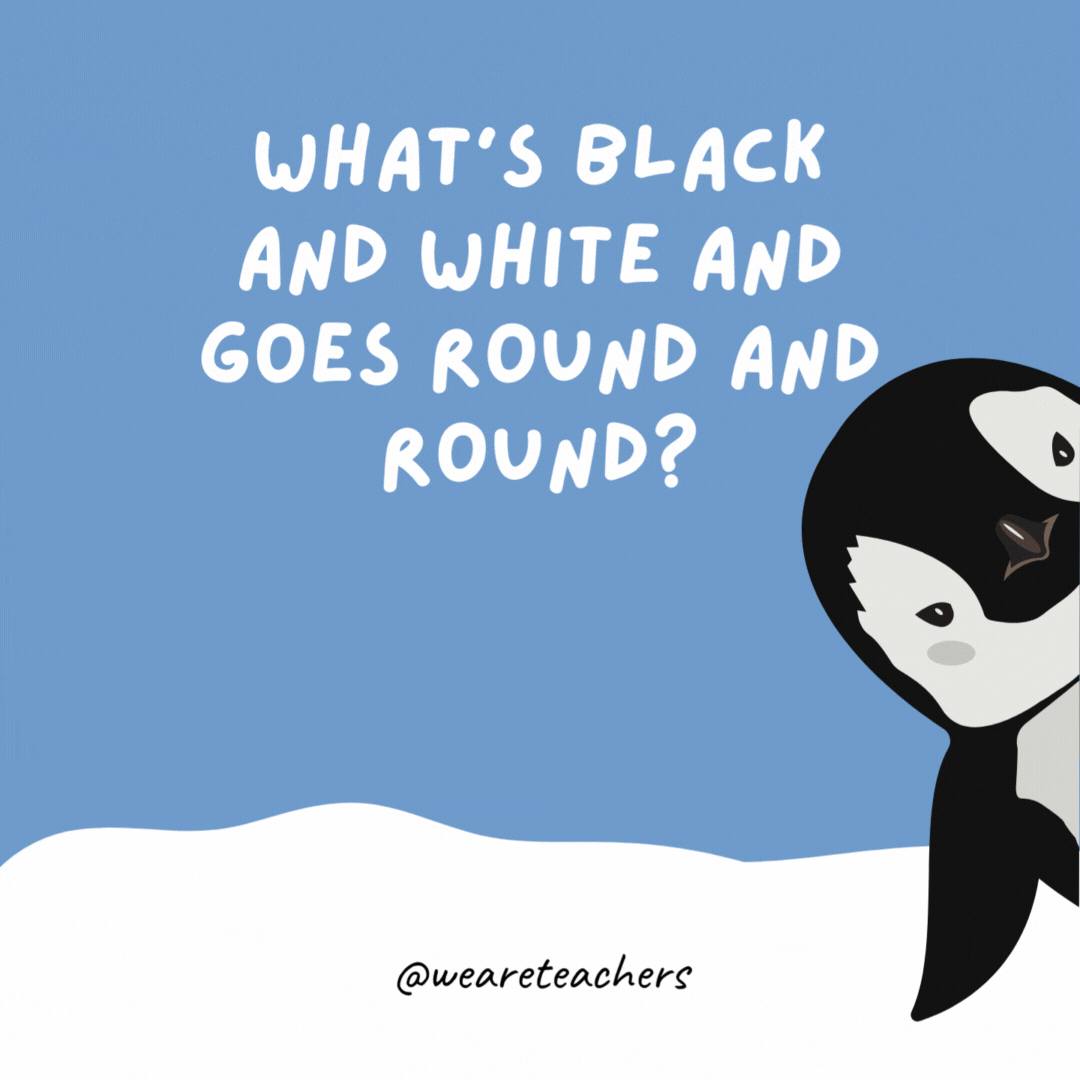 What’s black and white and goes round and round? A penguin in a revolving door. What’s black and white and goes round and round?
A penguin in a revolving door.