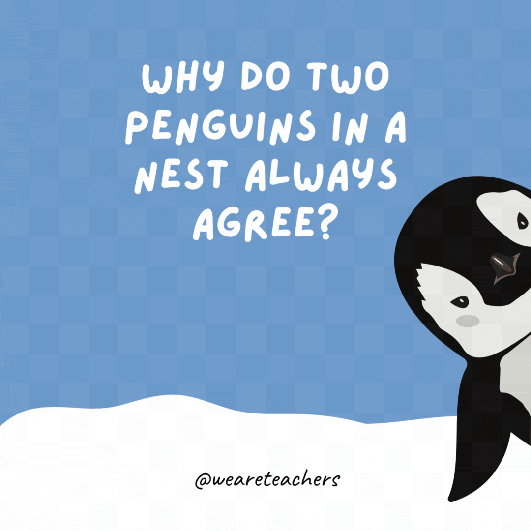 Why do two penguins in a nest always agree? Because they don’t want to fall out. Why do two penguins in a nest always agree?
Because they don’t want to fall out.