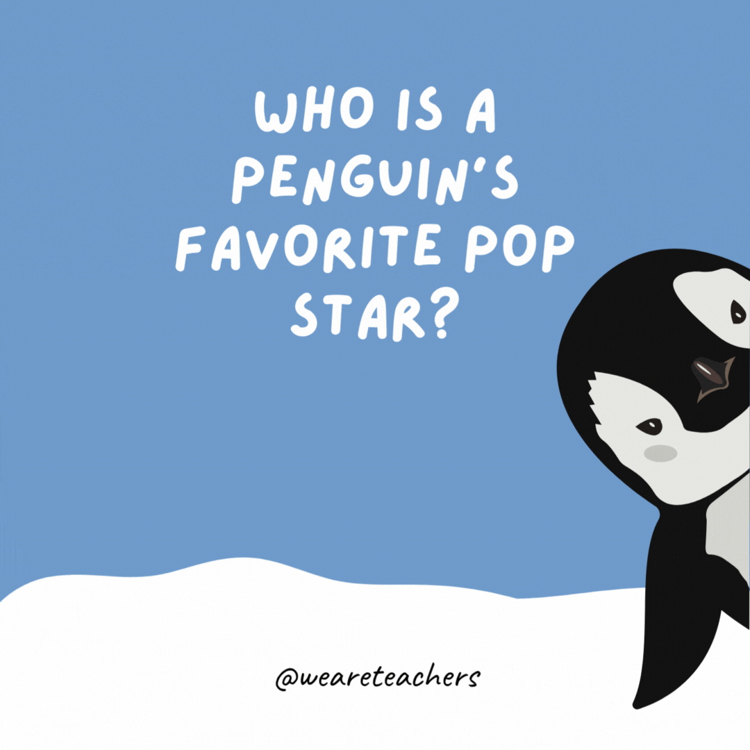 Who is a penguin’s favorite pop star? Seal. Who is a penguin’s favorite pop star? Seal.- penguin jokes