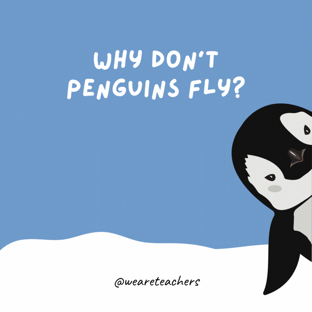 Why don’t penguins fly? Because they’re not tall enough to be pilots. Why don’t penguins fly?
Because they’re not tall enough to be pilots.