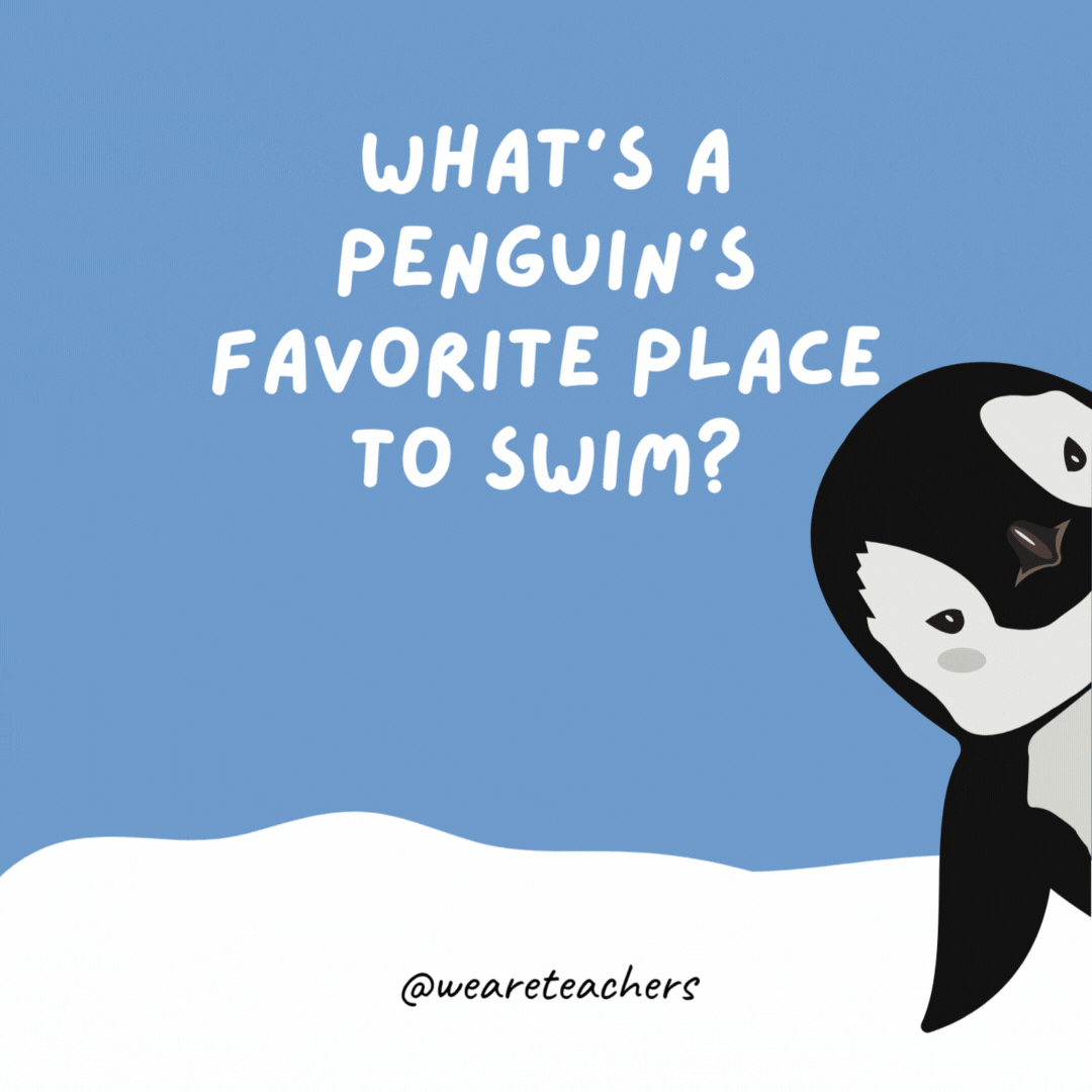 What’s a penguin’s favorite place to swim? The South Pool. What’s a penguin’s favorite place to swim? The South Pool.- penguin jokes