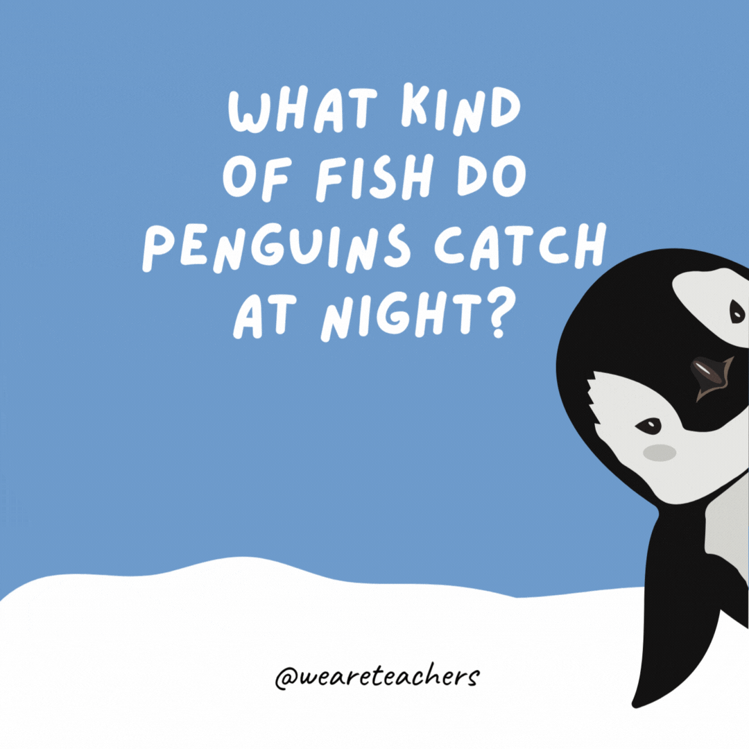 What kind of fish do penguins catch at night? Starfish. What kind of fish do penguins catch at night?
Starfish.