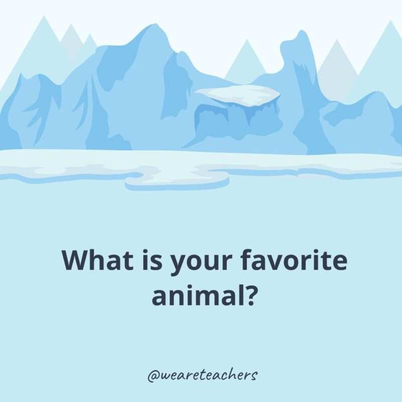 What is your favorite animal? What is your favorite animal?