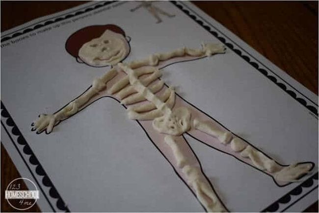 Playdough Bones Bones made out of playdough sitting on a mat showing the human body
