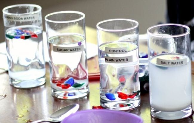 Water Density Experiment Glasses of liquid labeled baking soda water, sugar water, control plain water, and salt water