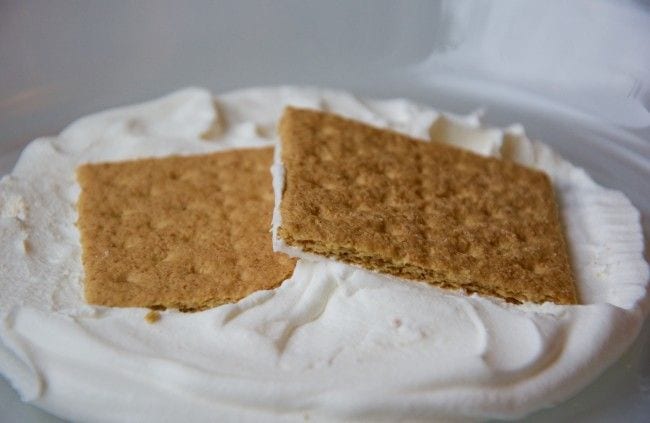 Graham Cracker Plate Tectonics Activity Two graham crackers overlapping on a bed of whipped cream