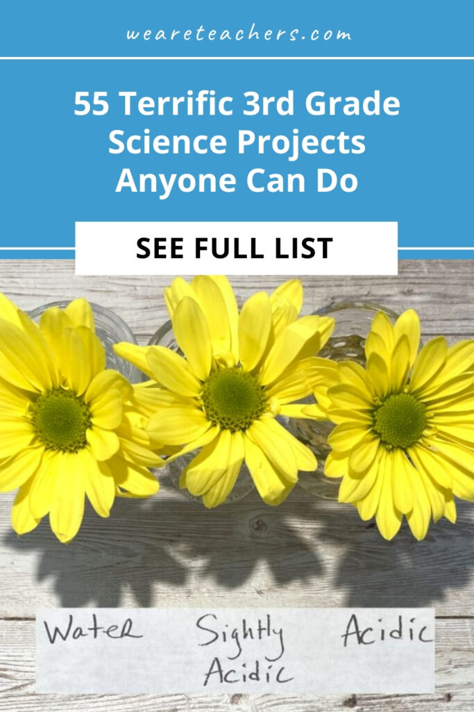 3rd-Science-Projects Need ideas for 3rd grade science fair projects, or looking for classroom science experiments and activities? Find them here!