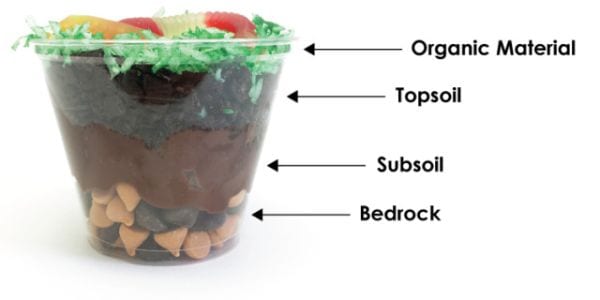 4th Grade Science Experiments Soil Super Teacher Blog Clear cup layered with chocolate chip bedrock, pudding subsoil, crushed cookie topsoil, and coconut grass