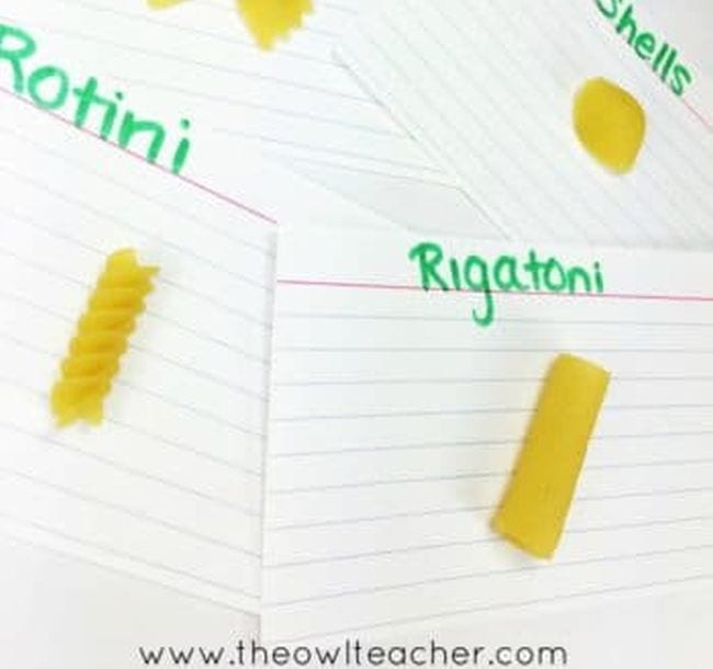 4th Grade Science The Owl Teacher Index cards with various pasta types glued to them, including rotini, rigatoni, and shells