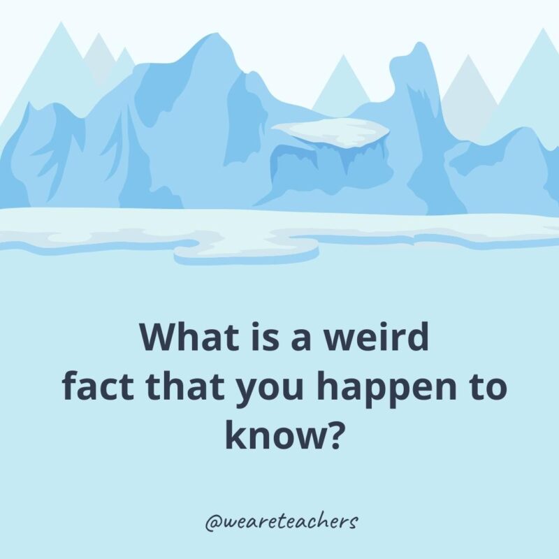 What is a weird fact that you happen to know? What is a weird fact that you happen to know?