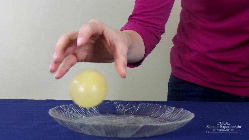 Bouncy Egg Science Experiment-Step-4 Photo of a child's hand shown above an egg that has been through a chemical change and is now rubberized and can bounce on top of a dish without breaking.