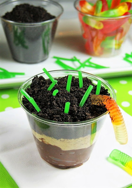 Dirt Cups Edible Soil Second grade science experiments can demonstrate layers of soil, as seen in this picture of a cup layered with chocolate pudding, Oreo cookie crumbs, and graham crackers.