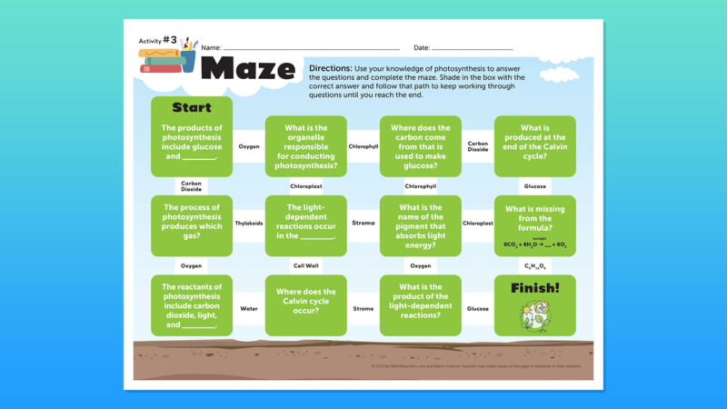 Photosynthesis-flatlay-maze photosynthesis maze