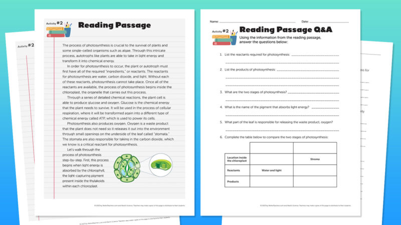 Photosynthesis-flatlay-passage photosynthesis diagram and reading passage