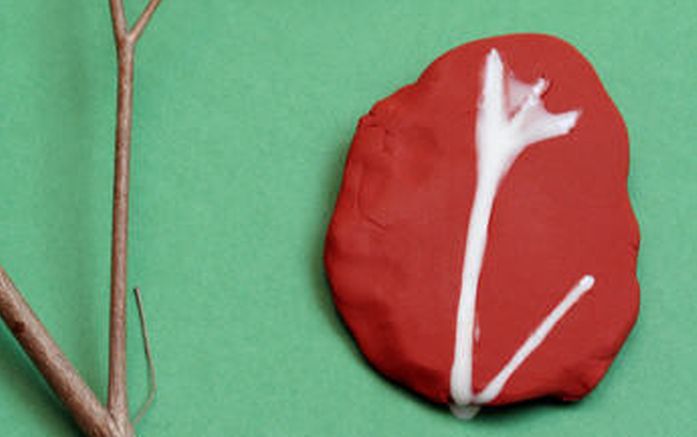 Third Grade Science Fossils Education Red clay with an impression of a twig. The impression is filled with white glue.