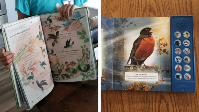 Child holding a bird book for kids and bird book with bird songs on wooden background