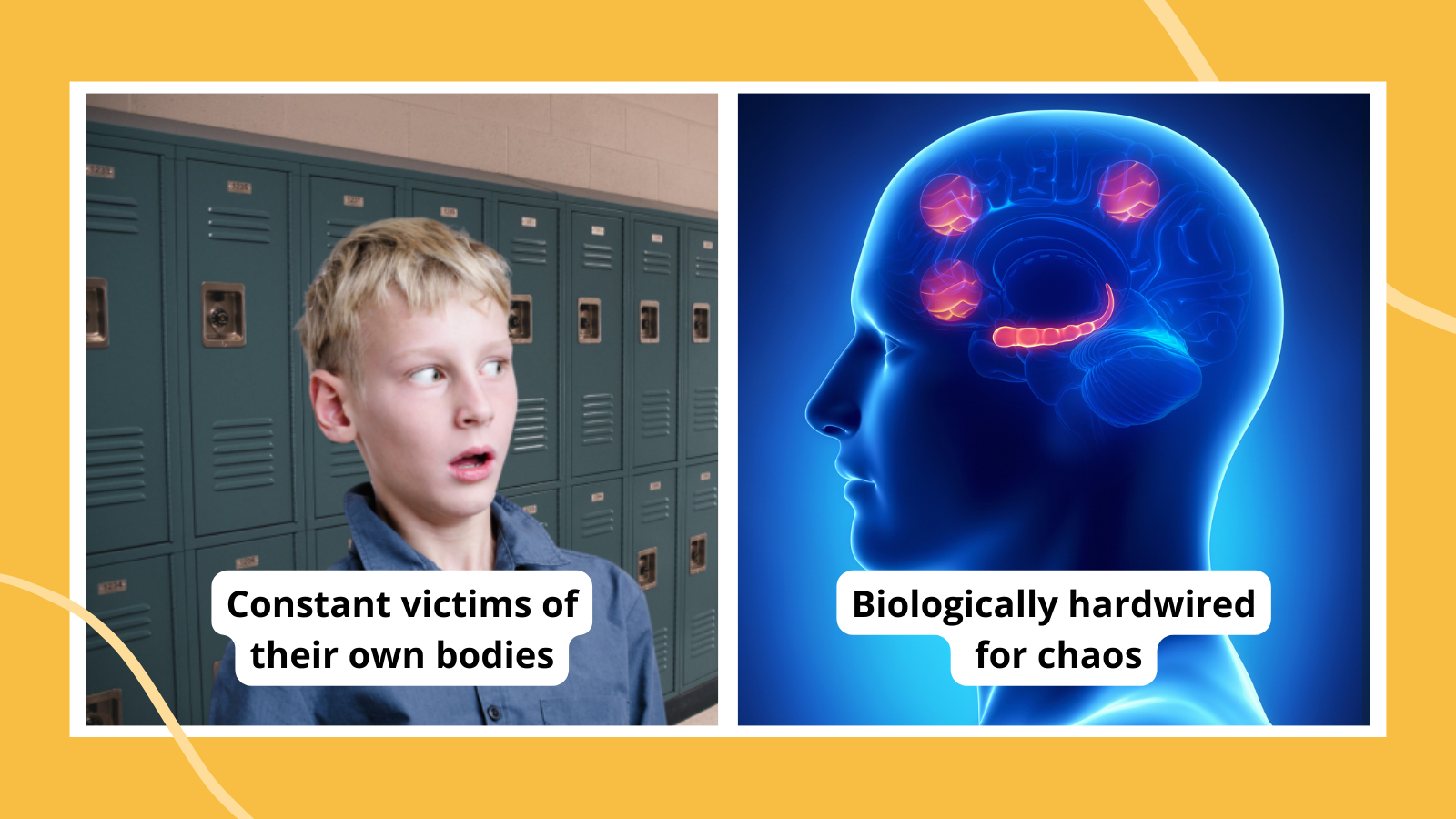 Paired images with quotes about why teaching middle school is hard